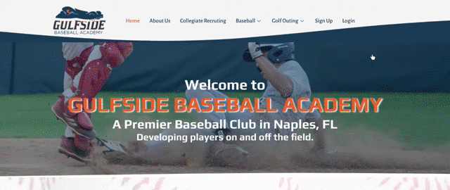 Baseball Website GIF